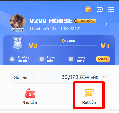 Vào mục rút tiền VZ99