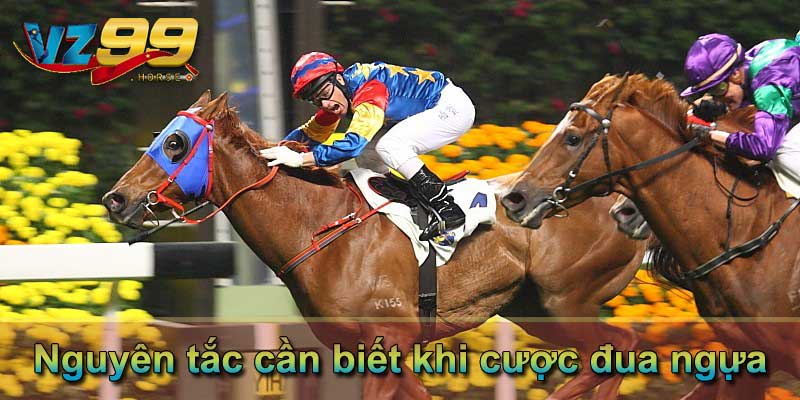 Nguyên tắc cần biết khi cược đua ngựa