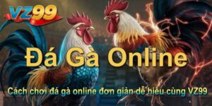 Cách chơi đá gà online đơn giản dễ hiểu cùng VZ99
