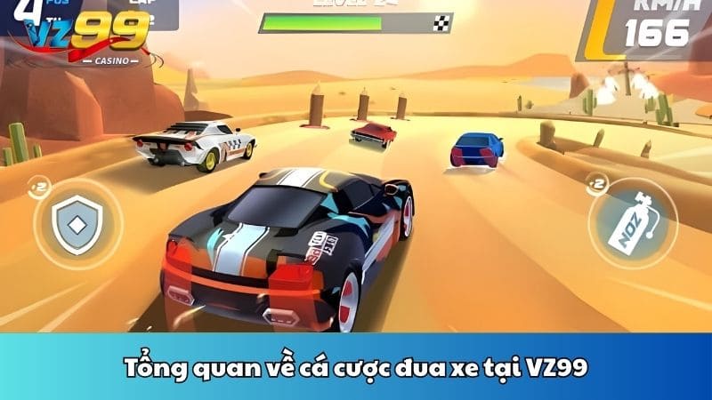 Tổng quan về cá cược đua xe tại VZ99