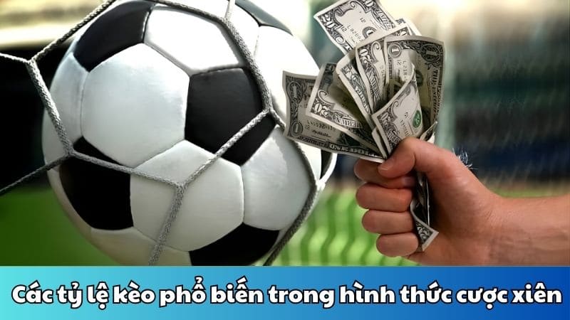 Các tỷ lệ kèo phổ biến trong hình thức cược xiên