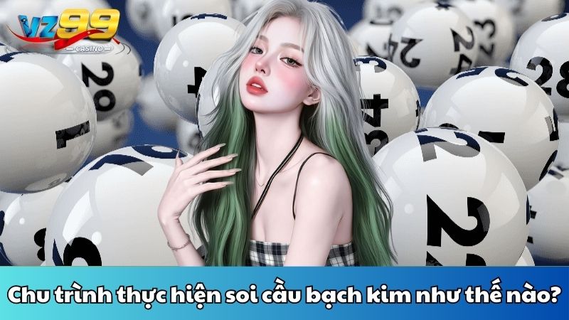Chu trình thực hiện soi cầu bạch kim như thế nào?