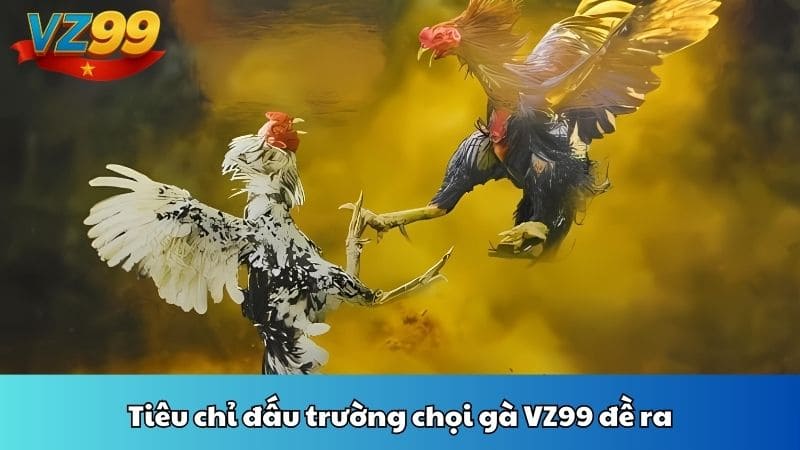 Tiêu chỉ đấu trường chọi gà VZ99 đề ra