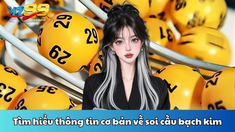 Tìm hiểu thông tin cơ bản về soi cầu bạch kim